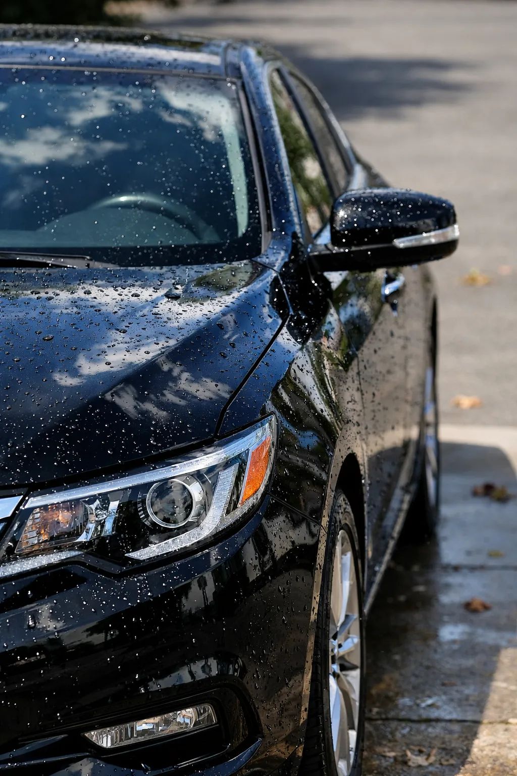 Professional auto detailing in Tucson Estates